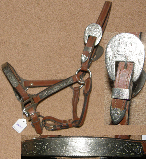 show halters yearlings